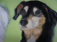 /album/galerie-photos/photo-974-jpg/